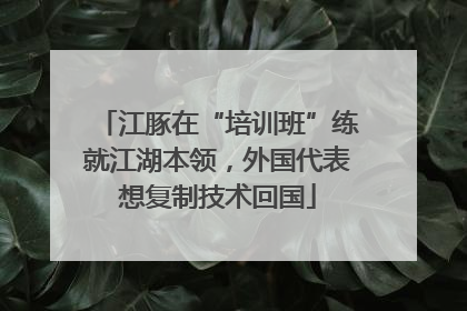 江豚在“培训班”练就江湖本领，外国代表想复制技术回国