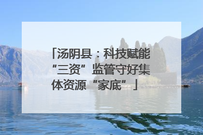 汤阴县：科技赋能“三资”监管守好集体资源“家底”