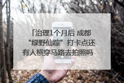 治理1个月后 成都“绿野仙踪”打卡点还有人横穿马路去拍照吗？｜民情瞭望