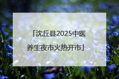 沈丘县2025中医养生夜市火热开市