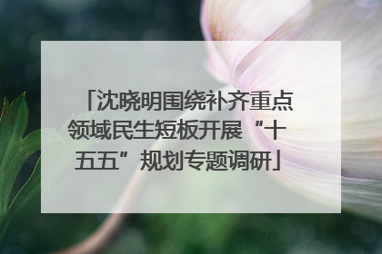 沈晓明围绕补齐重点领域民生短板开展“十五五”规划专题调研