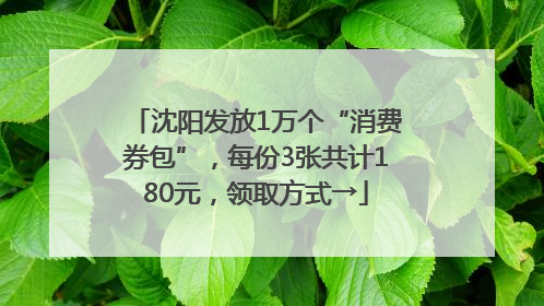 沈阳发放1万个“消费券包”，每份3张共计180元，领取方式→