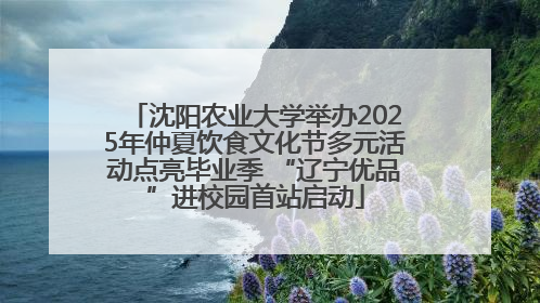 沈阳农业大学举办2025年仲夏饮食文化节多元活动点亮毕业季 “辽宁优品”进校园首站启动