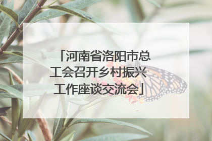 河南省洛阳市总工会召开乡村振兴工作座谈交流会