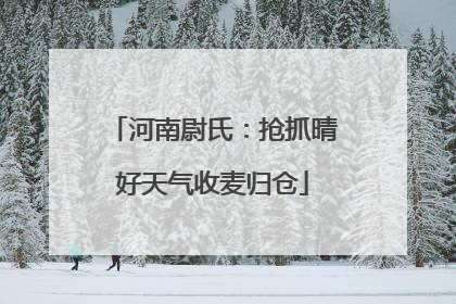 河南尉氏：抢抓晴好天气收麦归仓