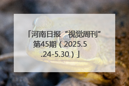 河南日报“视觉周刊”第45期（2025.5.24-5.30）