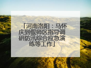 河南洛阳：马怀庆到偃师区指导调研防汛综合应急演练等工作