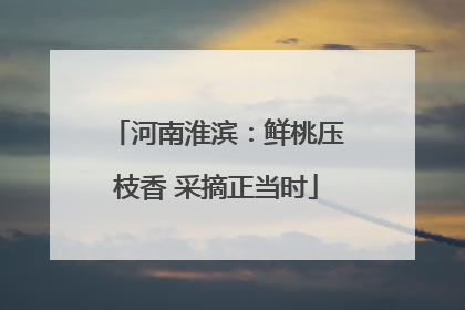 河南淮滨：鲜桃压枝香 采摘正当时