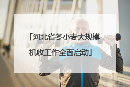 河北省冬小麦大规模机收工作全面启动