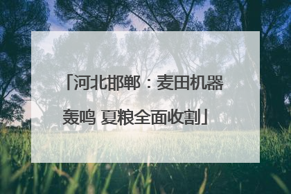 河北邯郸：麦田机器轰鸣 夏粮全面收割
