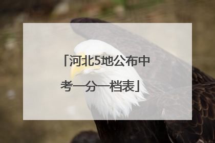 河北5地公布中考一分一档表