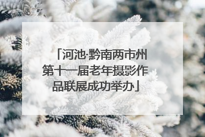 河池·黔南两市州第十一届老年摄影作品联展成功举办