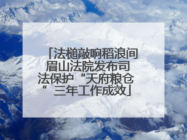 法槌敲响稻浪间 眉山法院发布司法保护“天府粮仓”三年工作成效