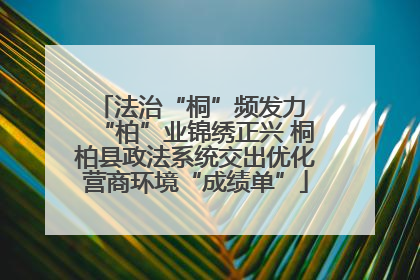 法治“桐”频发力 “柏”业锦绣正兴 桐柏县政法系统交出优化营商环境“成绩单”