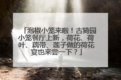 泡椒小笼来啦！古猗园小笼餐厅上新，荷花、荷叶、藕带、莲子做的荷花宴也来尝一下？