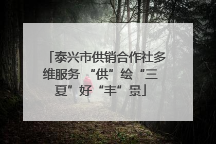 泰兴市供销合作社多维服务 “供”绘“三夏”好“丰”景