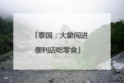 泰国：大象闯进便利店吃零食