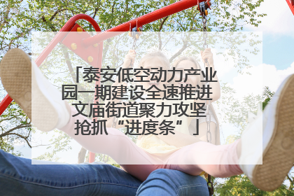 泰安低空动力产业园一期建设全速推进 文庙街道聚力攻坚抢抓“进度条”