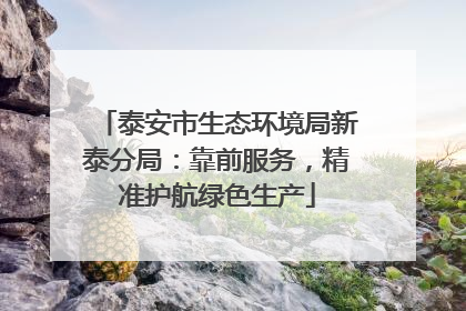 泰安市生态环境局新泰分局：靠前服务，精准护航绿色生产