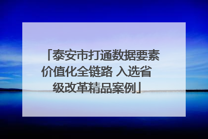 泰安市打通数据要素价值化全链路 入选省级改革精品案例