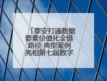 泰安打通数据要素价值化全链路径 典型案例亮相第七届数字中国建设峰会