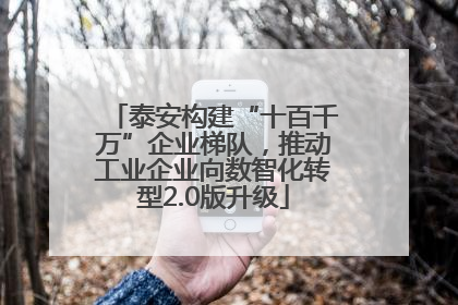 泰安构建“十百千万”企业梯队，推动工业企业向数智化转型2.0版升级