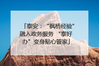 泰安：“枫桥经验”融入政务服务 “泰好办”变身贴心管家
