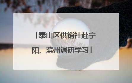 泰山区供销社赴宁阳、滨州调研学习