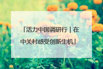 活力中国调研行｜在中关村感受创新生机