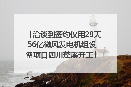 洽谈到签约仅用28天 56亿微风发电机组设备项目四川蓬溪开工