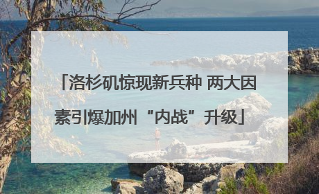 洛杉矶惊现新兵种 两大因素引爆加州“内战”升级