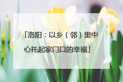 洛阳：以乡（邻）里中心托起家门口的幸福