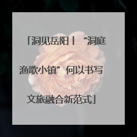 洞见岳阳丨“洞庭渔歌小镇”何以书写文旅融合新范式