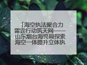 海空执法聚合力 雷霆行动筑天网——山东烟台海警局探索海空一体提升立体执法效能纪实