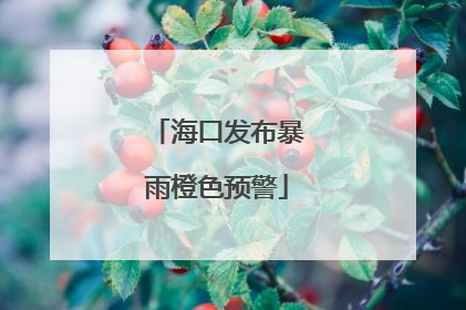 海口发布暴雨橙色预警