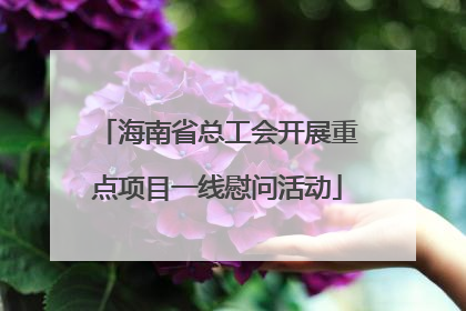 海南省总工会开展重点项目一线慰问活动