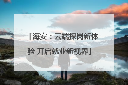 海安：云端探岗新体验 开启就业新视界