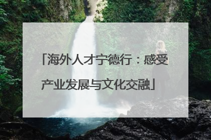 海外人才宁德行：感受产业发展与文化交融