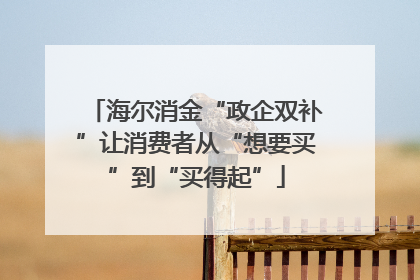 海尔消金“政企双补”让消费者从“想要买”到“买得起”