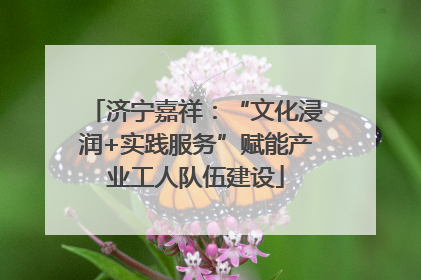 济宁嘉祥：“文化浸润+实践服务”赋能产业工人队伍建设