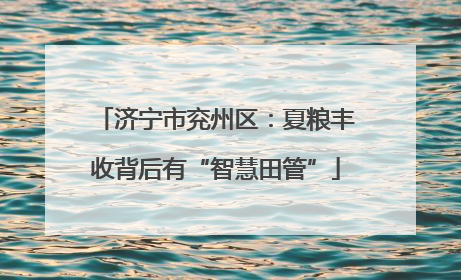 济宁市兖州区：夏粮丰收背后有“智慧田管”