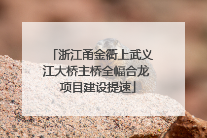 浙江甬金衢上武义江大桥主桥全幅合龙 项目建设提速