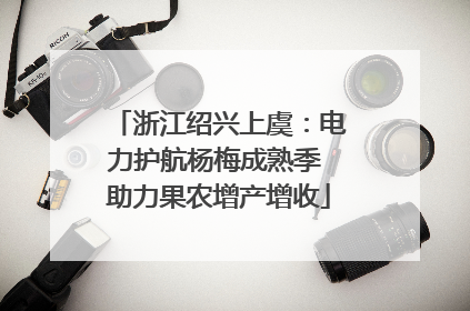 浙江绍兴上虞：电力护航杨梅成熟季 助力果农增产增收