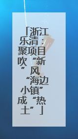 浙江乐清：聚项目吹“新”风 “海边小镇”成“热土”