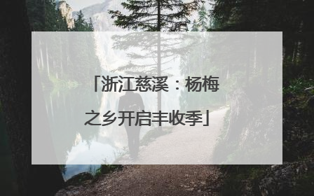 浙江慈溪：杨梅之乡开启丰收季