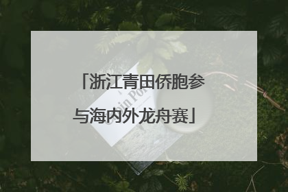 浙江青田侨胞参与海内外龙舟赛