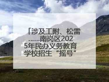 涉及工附、松雷……南岗区2025年民办义务教育学校招生“摇号”结果出炉