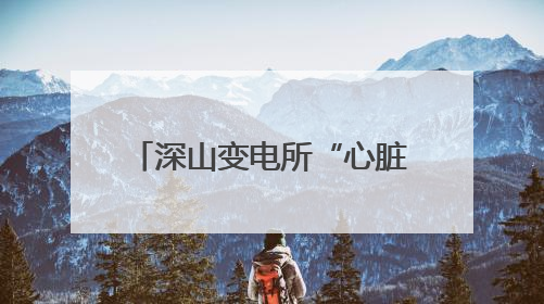深山变电所“心脏守护者”：孤独守望护航旅客平安