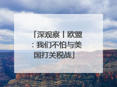 深观察丨欧盟：我们不怕与美国打关税战
