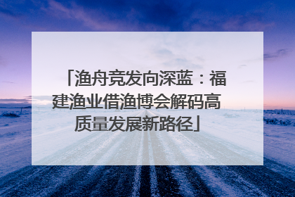 渔舟竞发向深蓝：福建渔业借渔博会解码高质量发展新路径